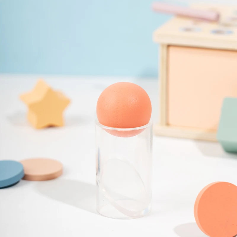 Baby Montessori Coin Box Toy