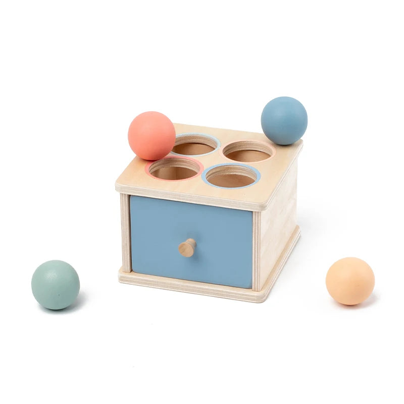 Baby Montessori Coin Box Toy
