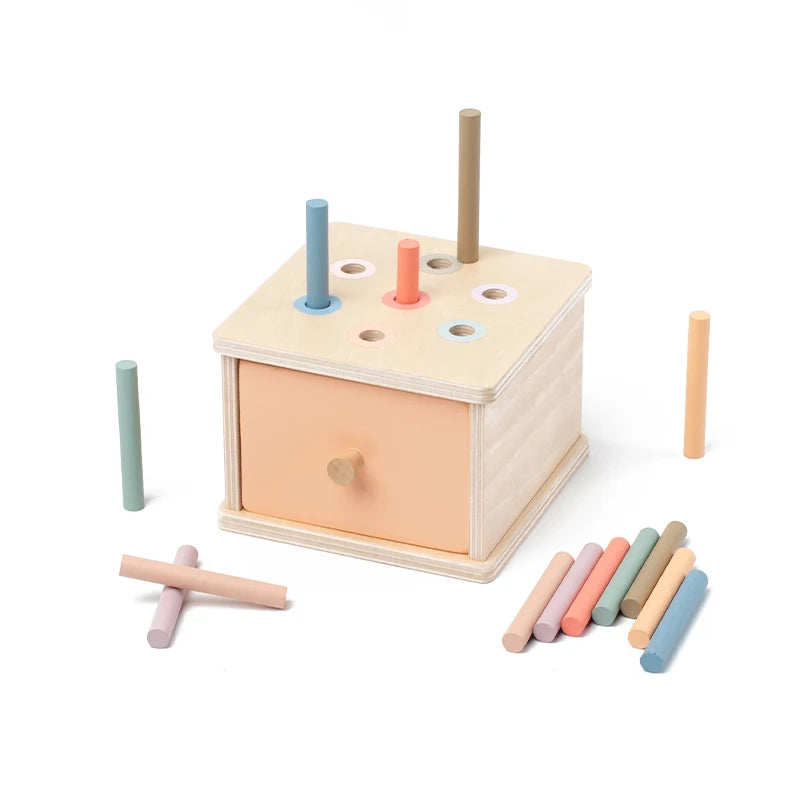 Baby Montessori Coin Box Toy