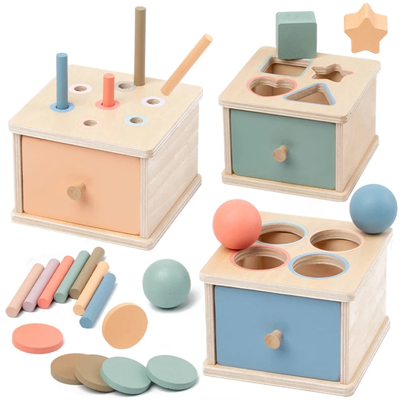 Baby Montessori Coin Box Toy